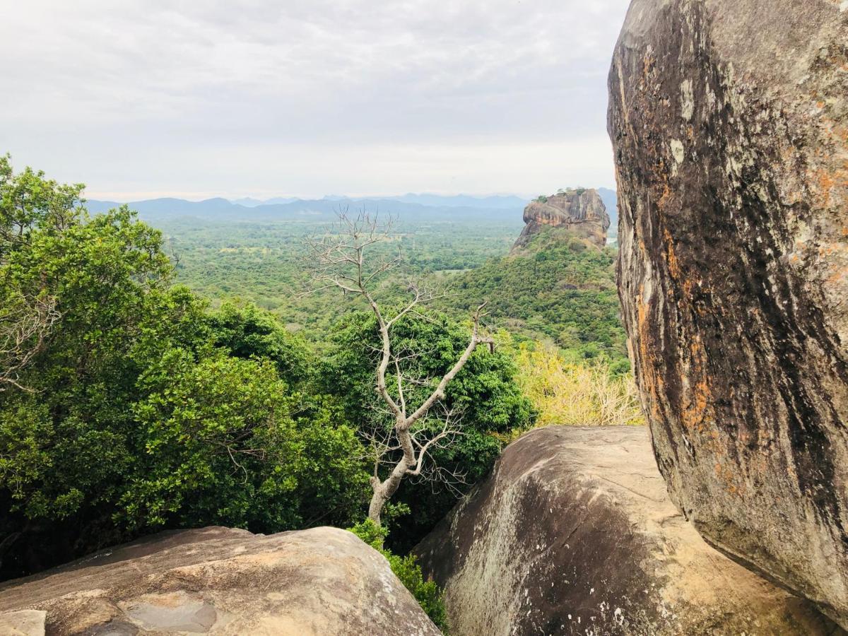 Hotel Sigiri Liya Rest Sigiriya Exterior foto