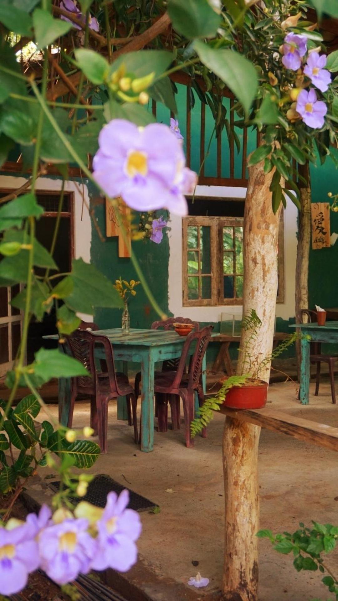 Hotel Sigiri Liya Rest Sigiriya Exterior foto